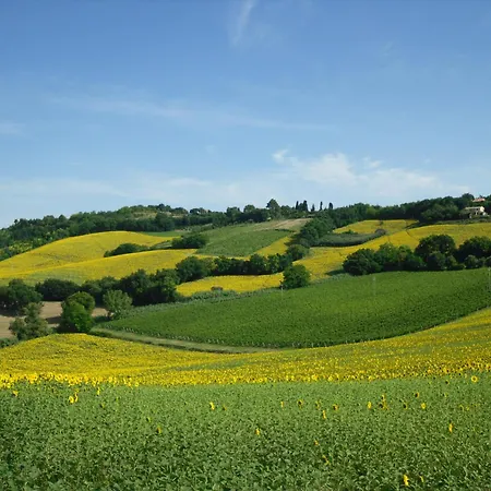 Stella Del Mattino Apartment