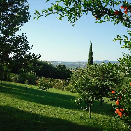 Stella Del Mattino