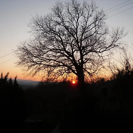 Stella Del Mattino Apartment Pesaro