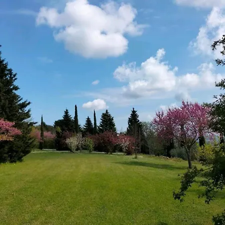 Apartment Stella Del Mattino